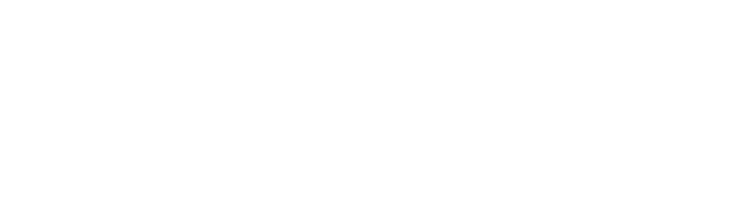 FREIE WÄHLER Demo
